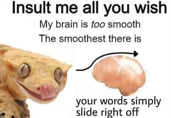 lagarto e um cérebro com  frase "insult me all you wish, my brain is too smooth, the smoothest there is, your words simply slide right off"