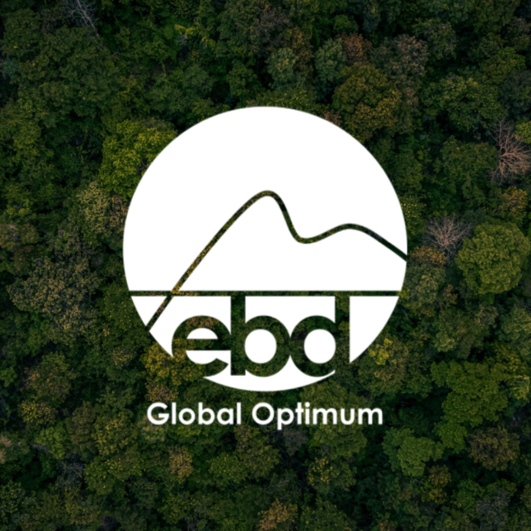 Floresta ao fundo com a logo branca na frente